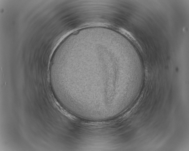 X0000068271236200605191820