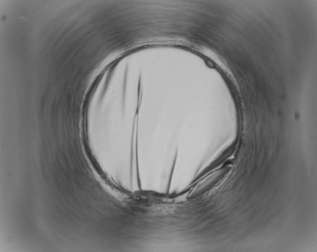 X0000068271237200605191820