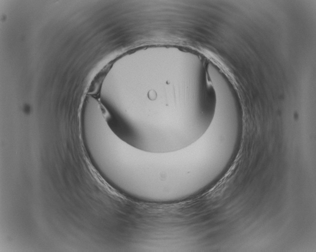 X0000068271238200605191820