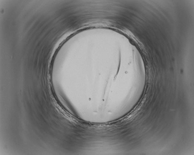 X0000068271240200605191820