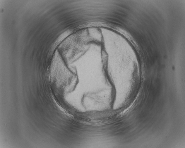 X0000068271241200605191820