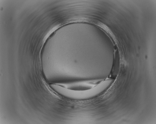 X0000068271242200605191820