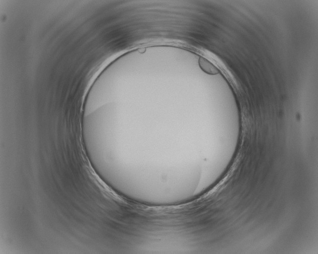 X0000068271244200605191820