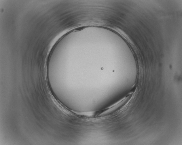 X0000068271246200605191820