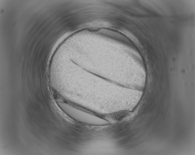 X0000068271248200605191820