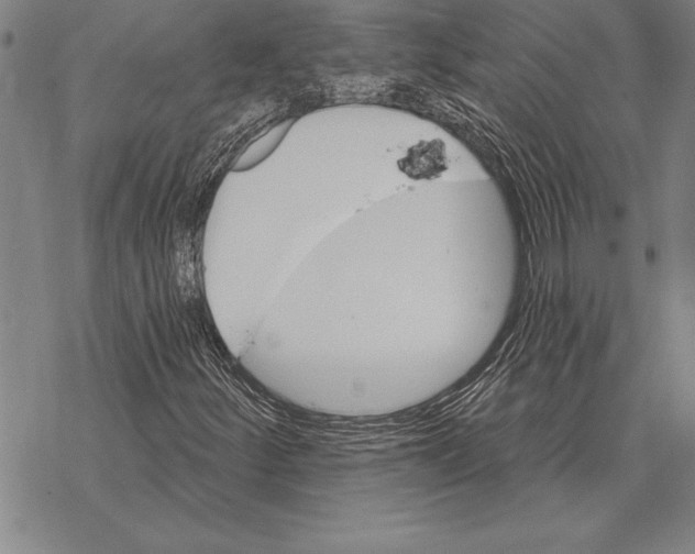 X0000068271252200605191819