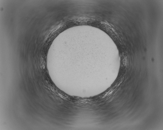 X0000068271253200605191819