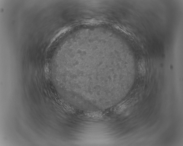 X0000068271254200605191819