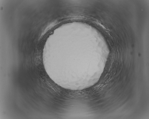 X0000068271255200605191819