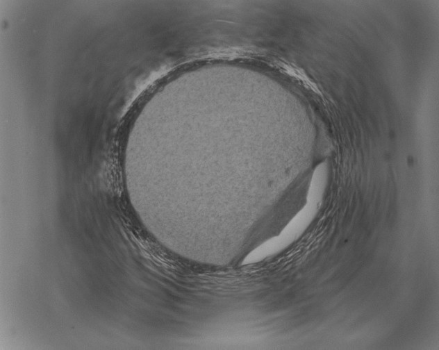 X0000068271256200605191819