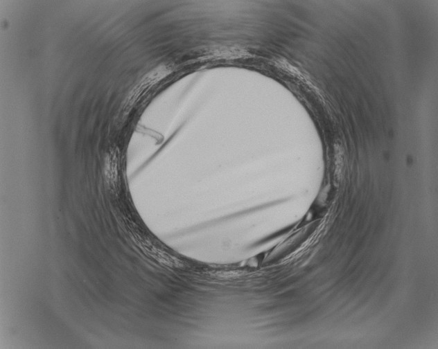 X0000068271257200605191819