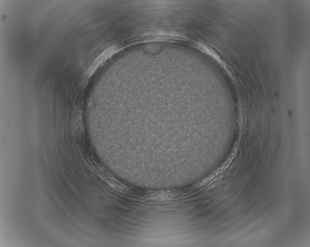 X0000068271259200605191819