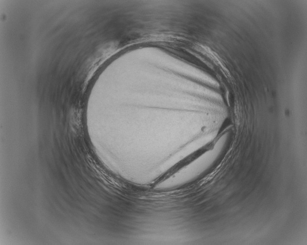 X0000068271260200605191819