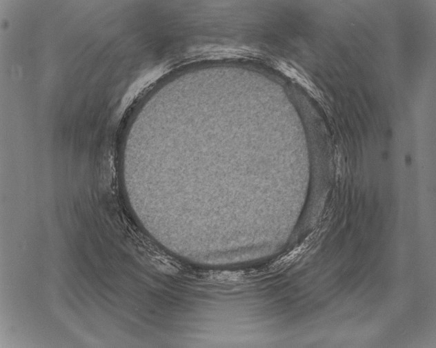 X0000068271261200605191819