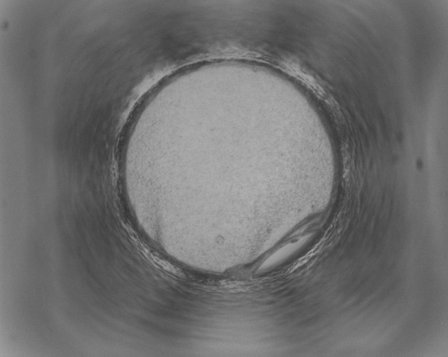 X0000068271264200605191819