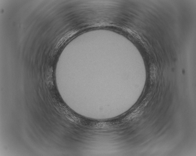 X0000068271265200605191819