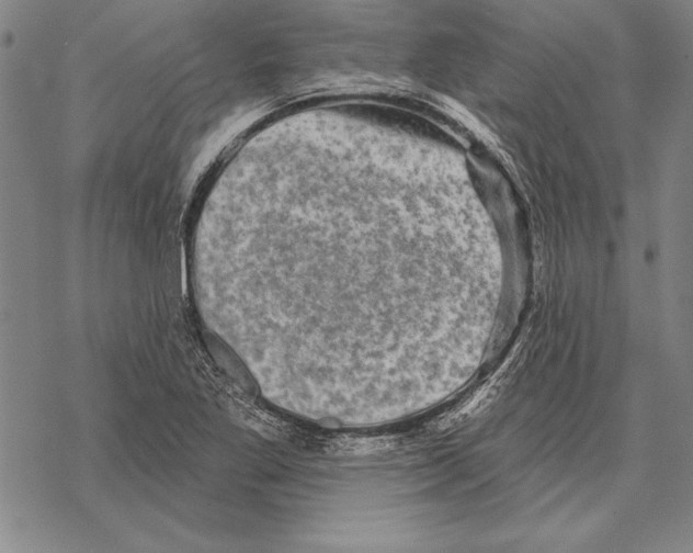 X0000068271269200605191819