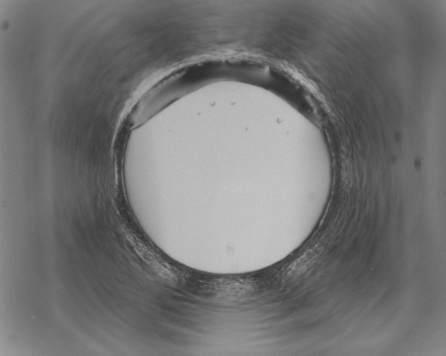 X0000068271270200605191819