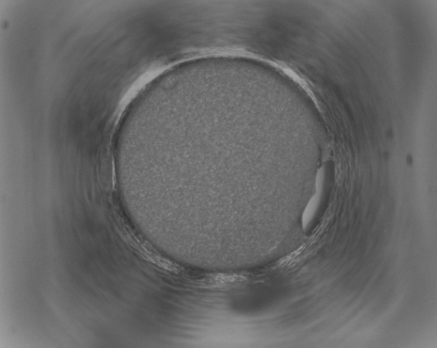 X0000068271271200605191819