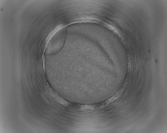 X0000068271275200605191819