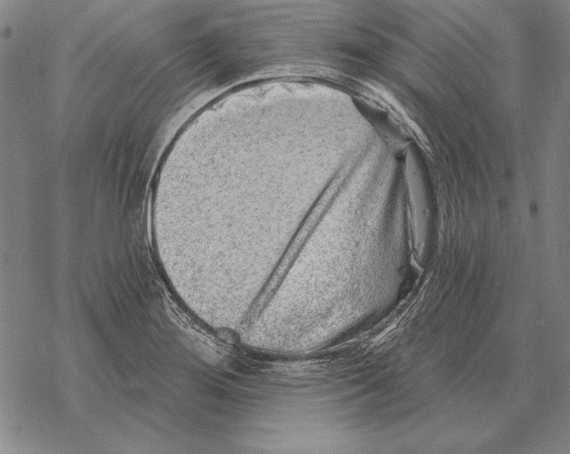 X0000068271276200605191819