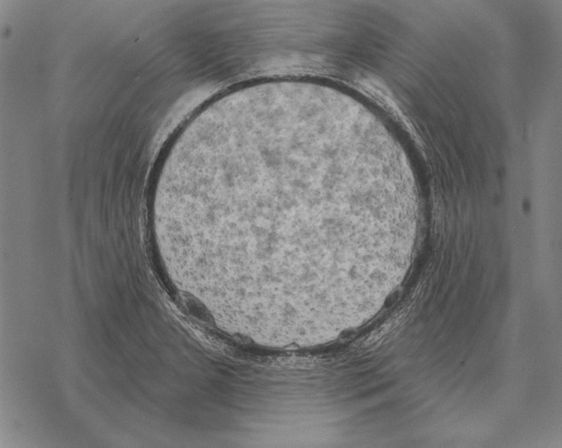 X0000068271277200605191819