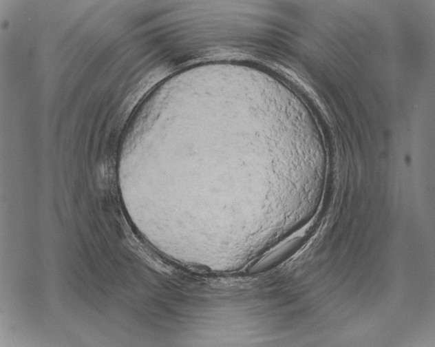 X0000068271281200605191819