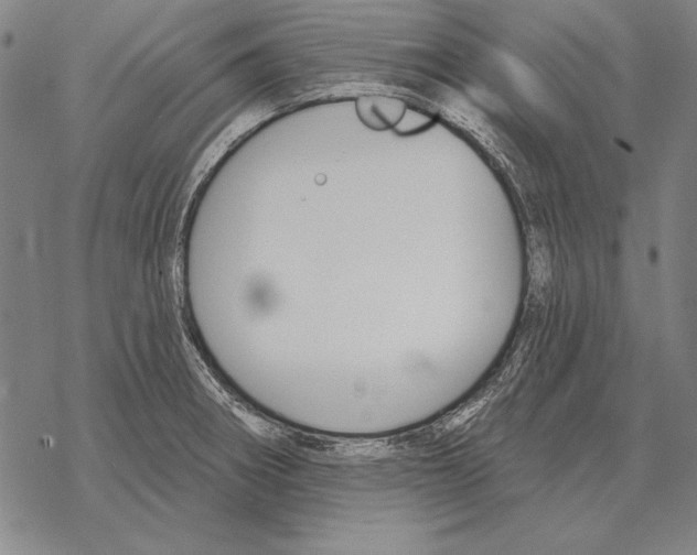 X0000068271282200605191819