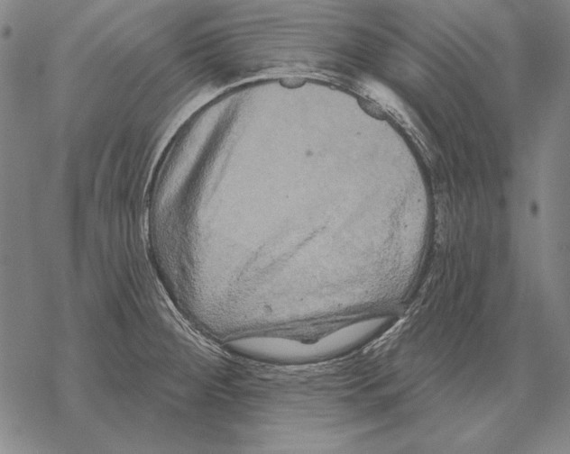 X0000068271284200605191819