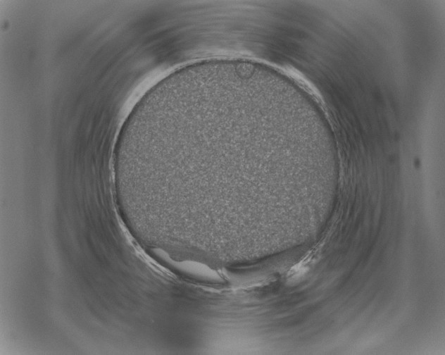 X0000068271287200605191818