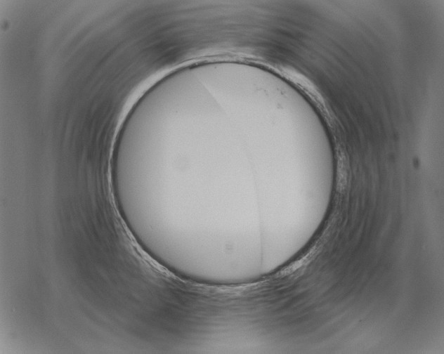 X0000068271288200605191818