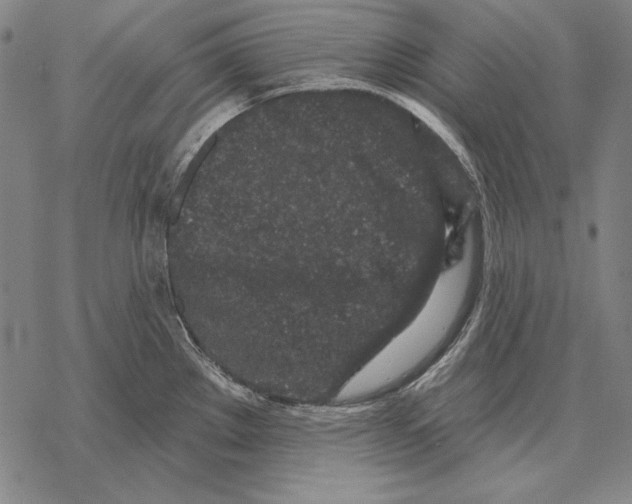 X0000068271289200605191818