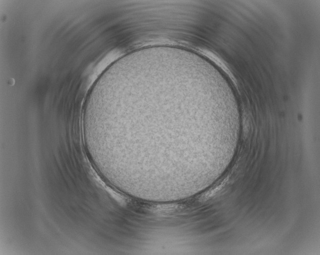 X0000068271290200605191818