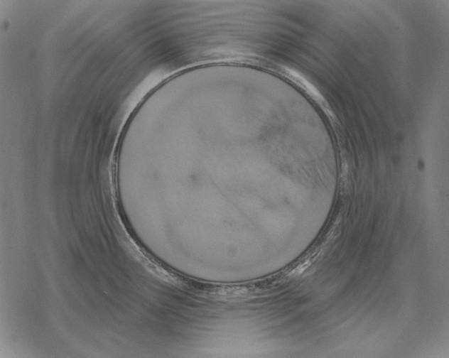 X0000068271291200605191818