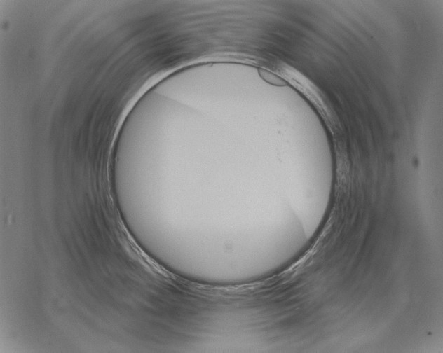 X0000068271292200605191818