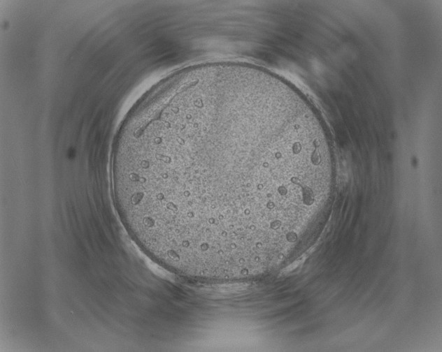 X0000068271294200605191818