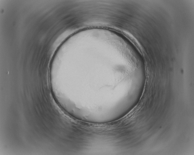 X0000068271295200605191818