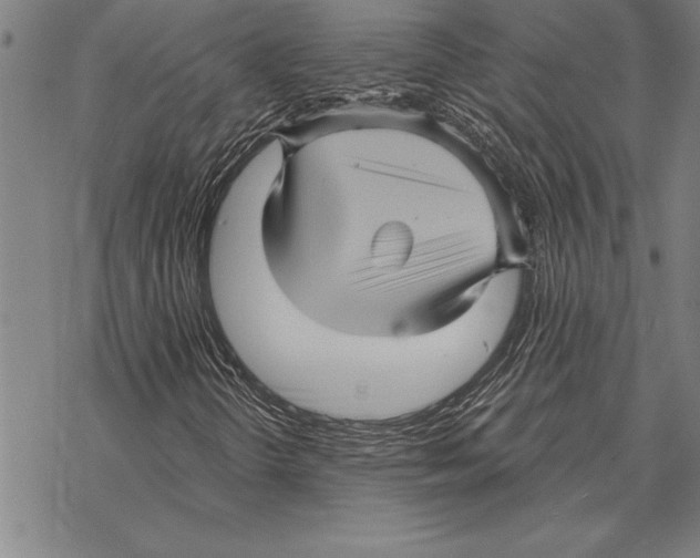 X0000068271298200605191818