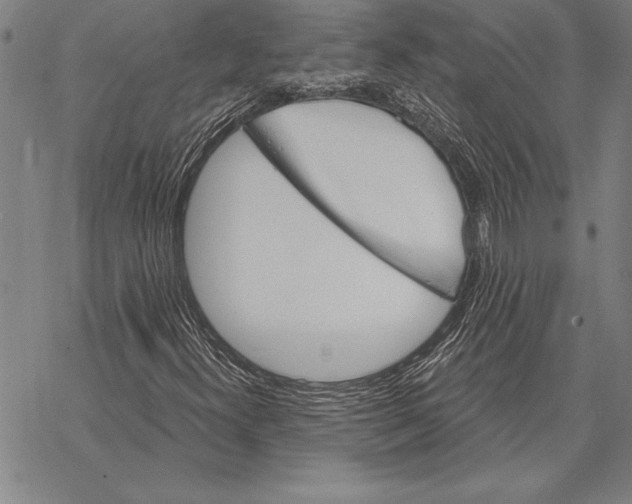 X0000068271300200605191818