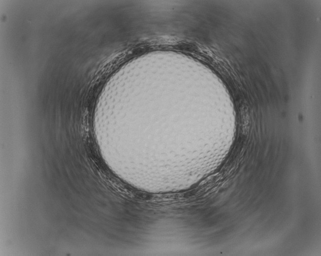 X0000068271301200605191818