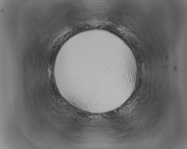 X0000068271302200605191818