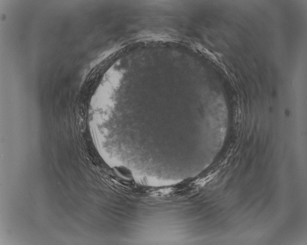 X0000068271303200605191818