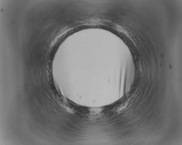 X0000068271304200605191818