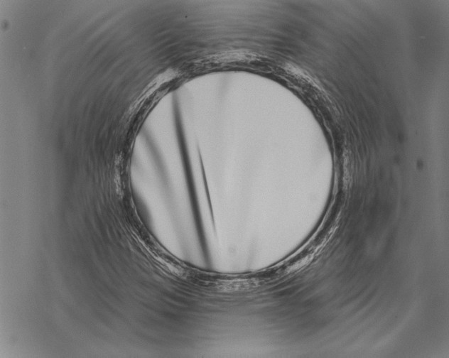 X0000068271305200605191818