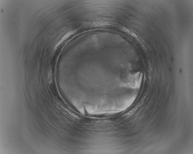 X0000068271306200605191818