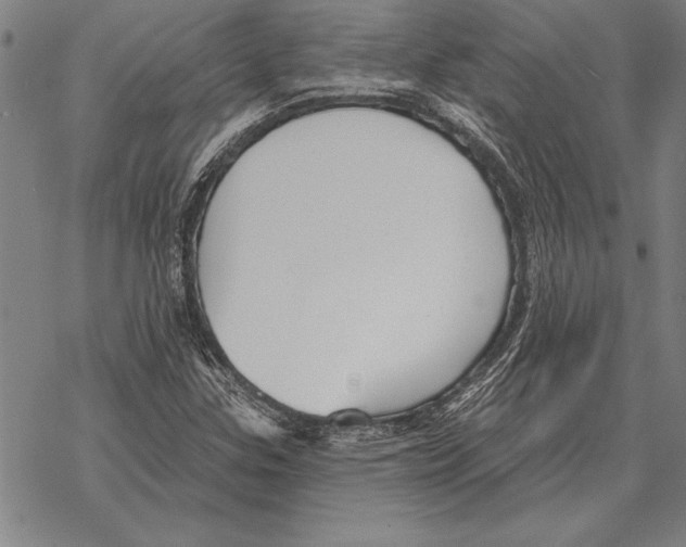 X0000068271307200605191818