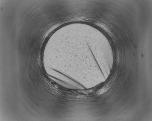 X0000068271308200605191818