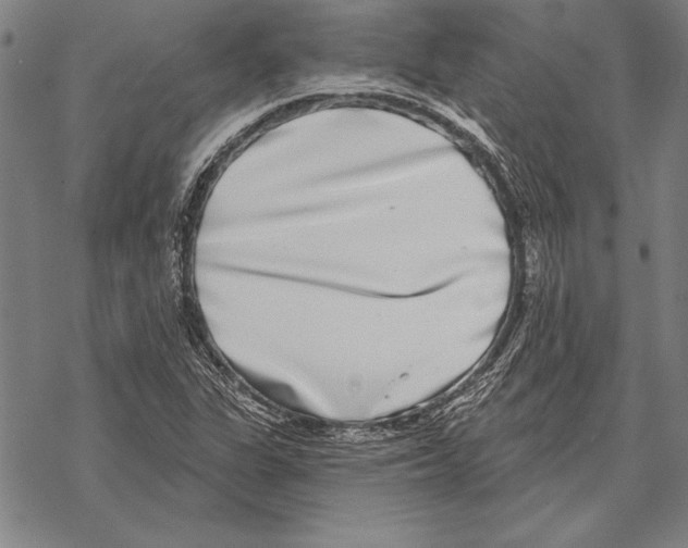 X0000068271311200605191818