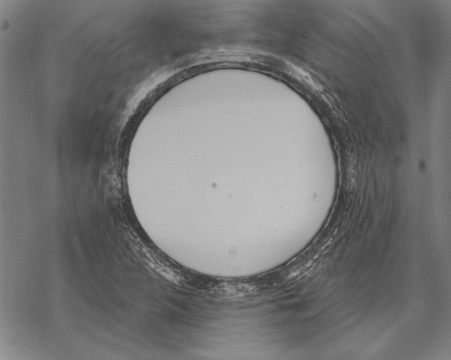 X0000068271312200605191818