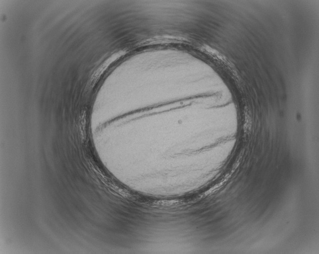 X0000068271313200605191818